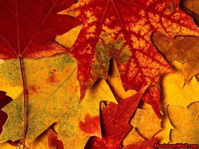 Automne